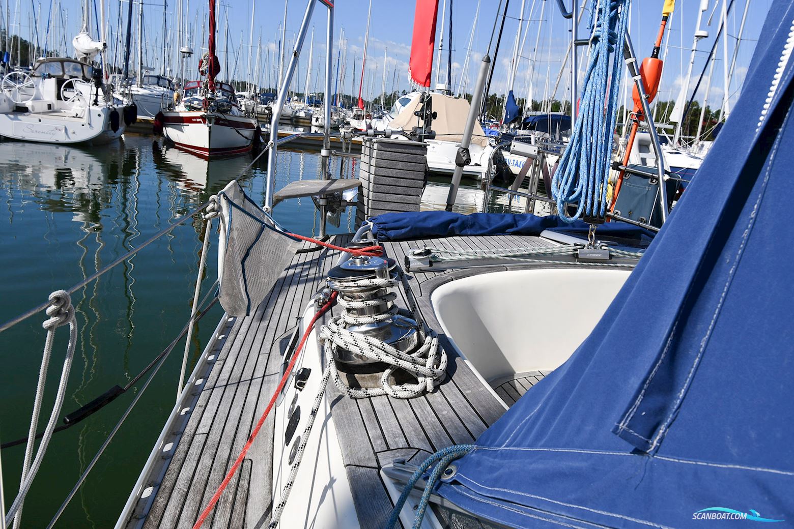 Forgus 37