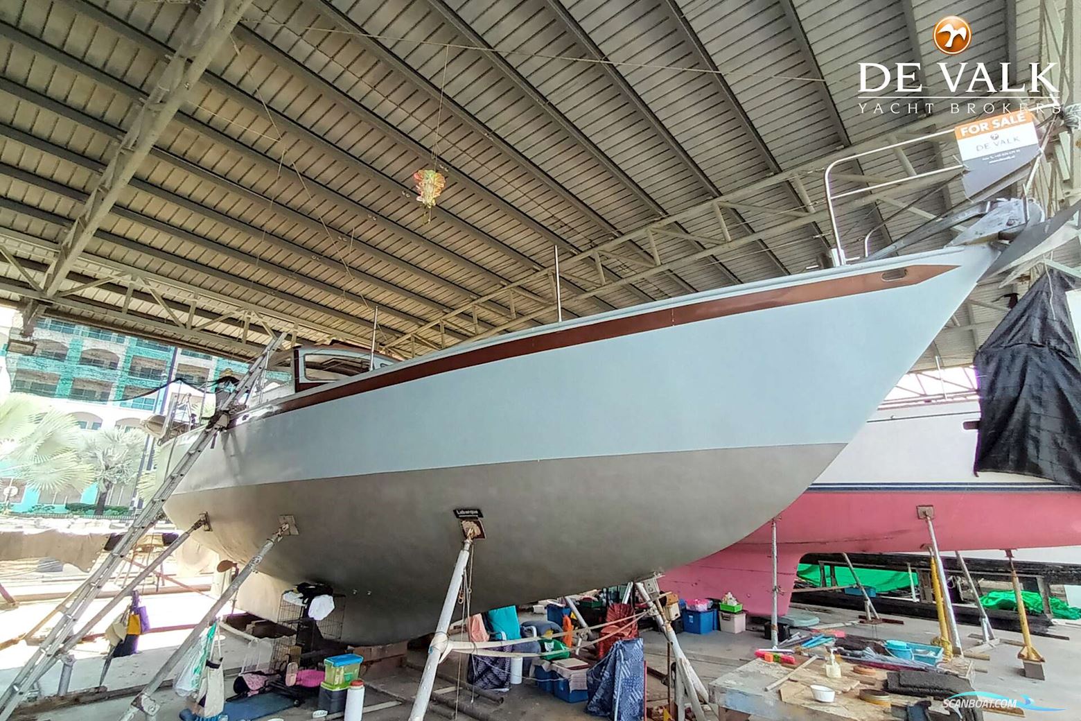 FRANS MAAS Calypso 43