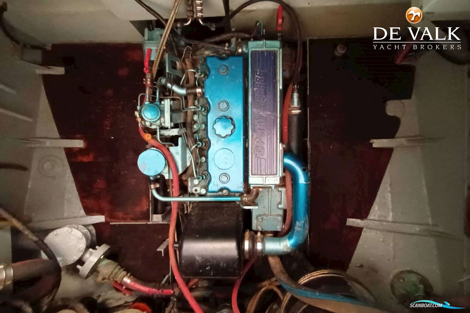 FRANS MAAS Calypso 43