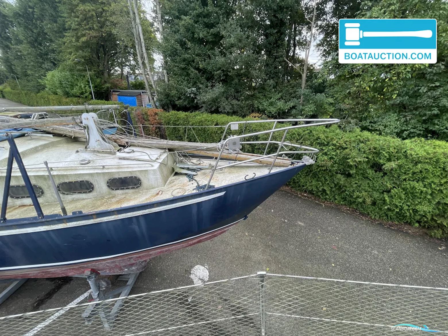 Friesland 860