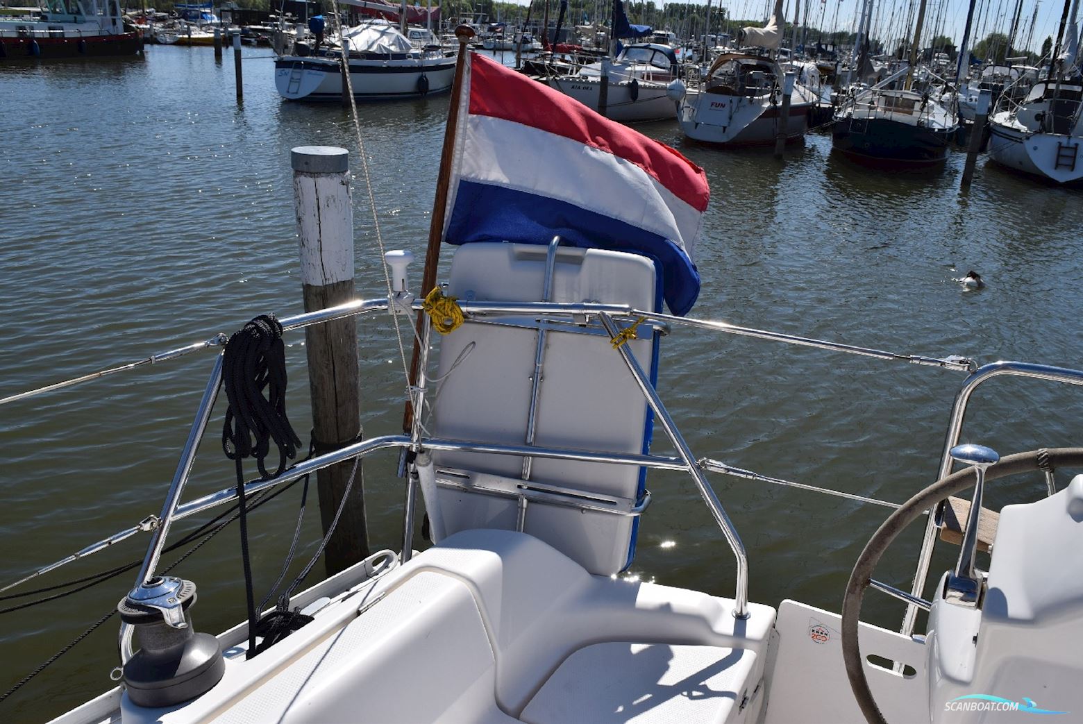 Gib Sea 33