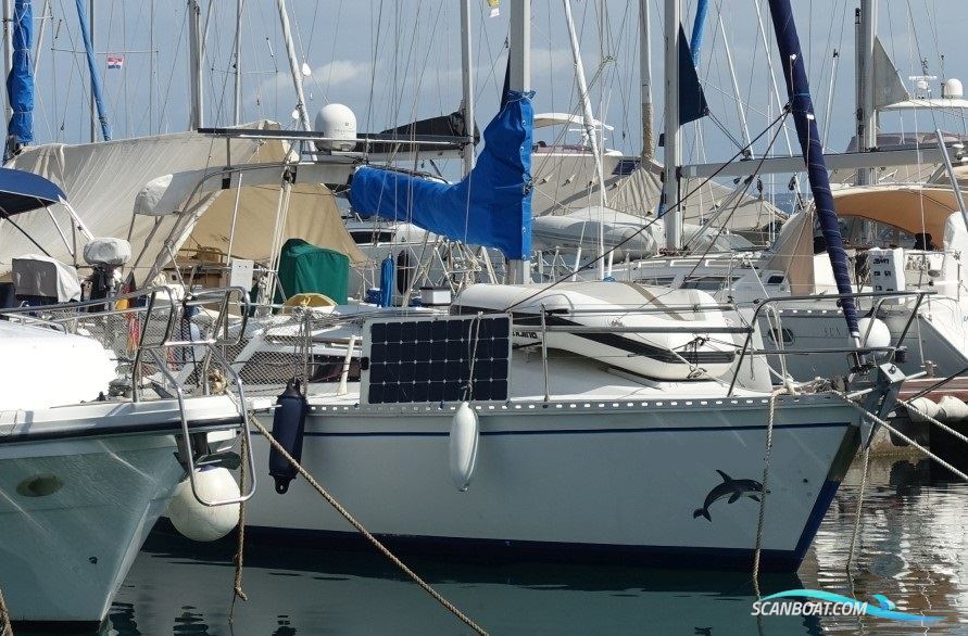 Gib Sea 84