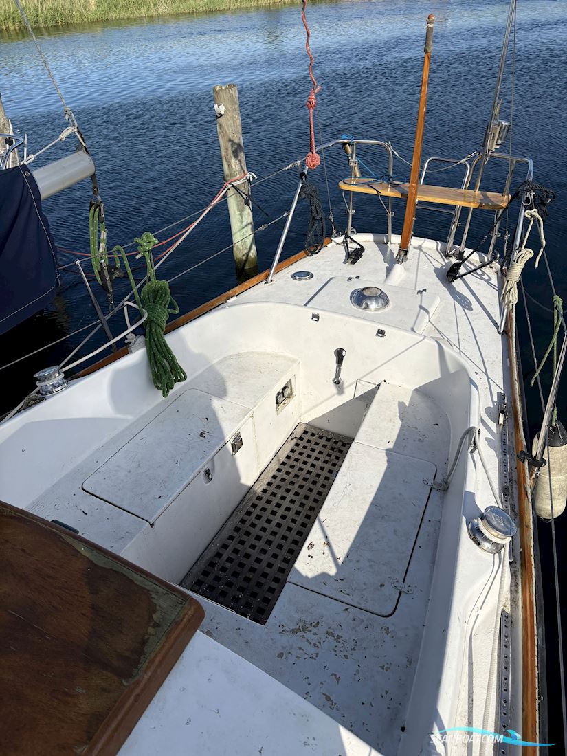 Grace 30