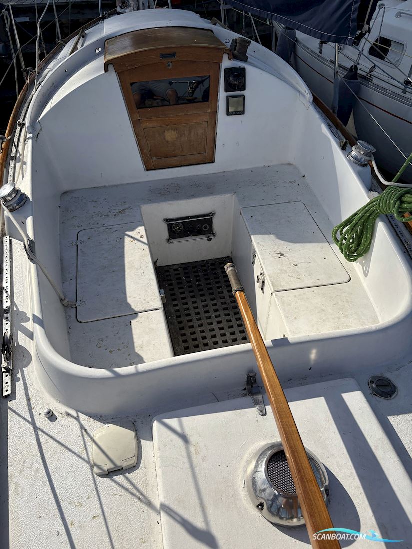 Grace 30