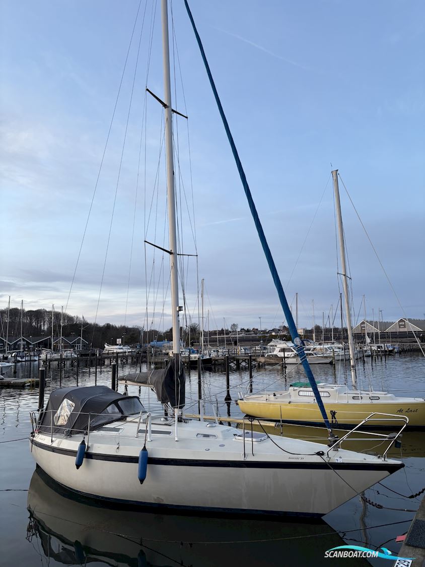 Granada 31 Segelboot 1978, mit Volvo Penta MD7A motor, Dänemark