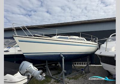 Granada 858 Regatta Segelboot 2024, mit Bukh DV 10 motor, Dänemark