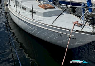 Great Dane 28 Segelboot 1968, mit Flora Dane motor, Dänemark
