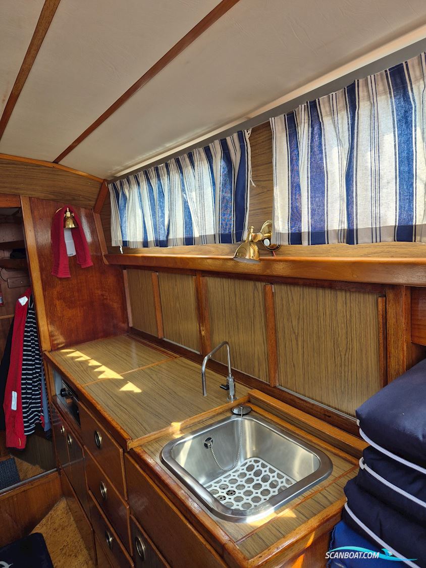 Great Dane 28