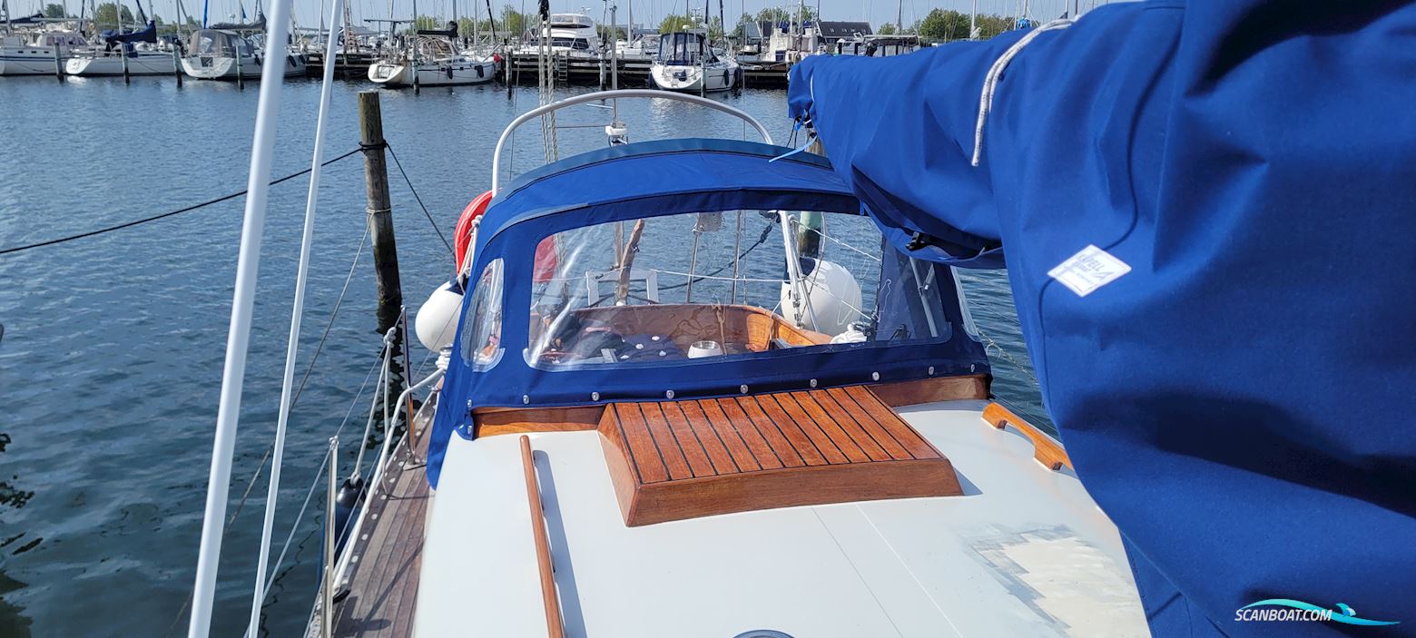 Great Dane 28