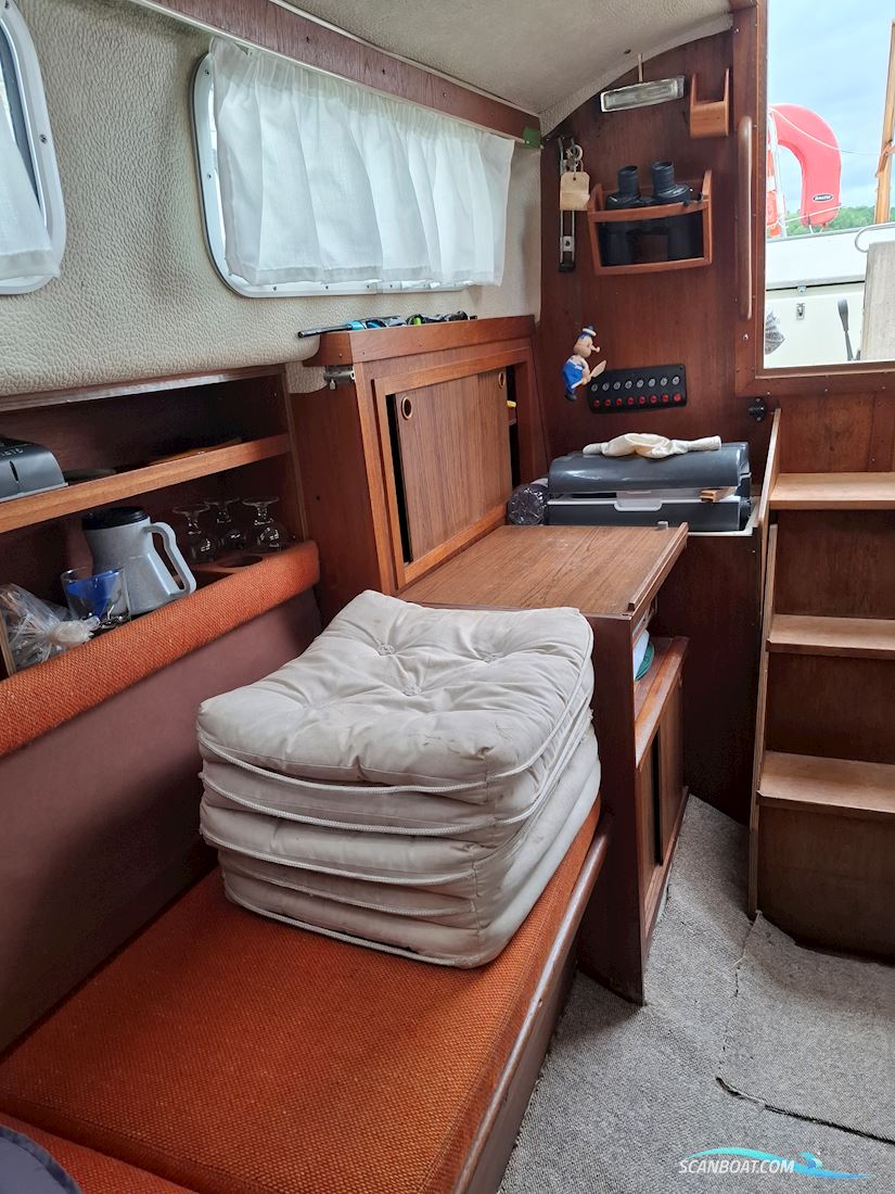 Great Dane 28