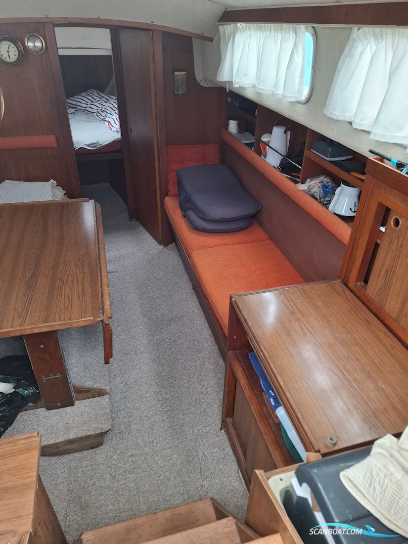 Great Dane 28