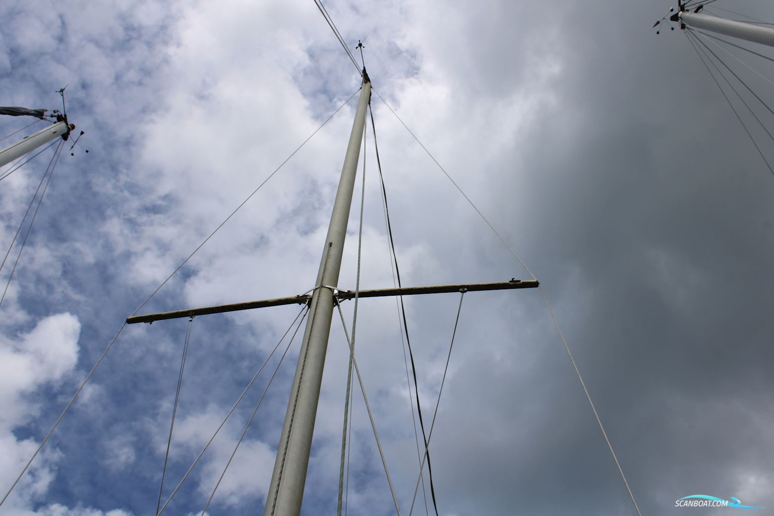 Great Dane GD 28