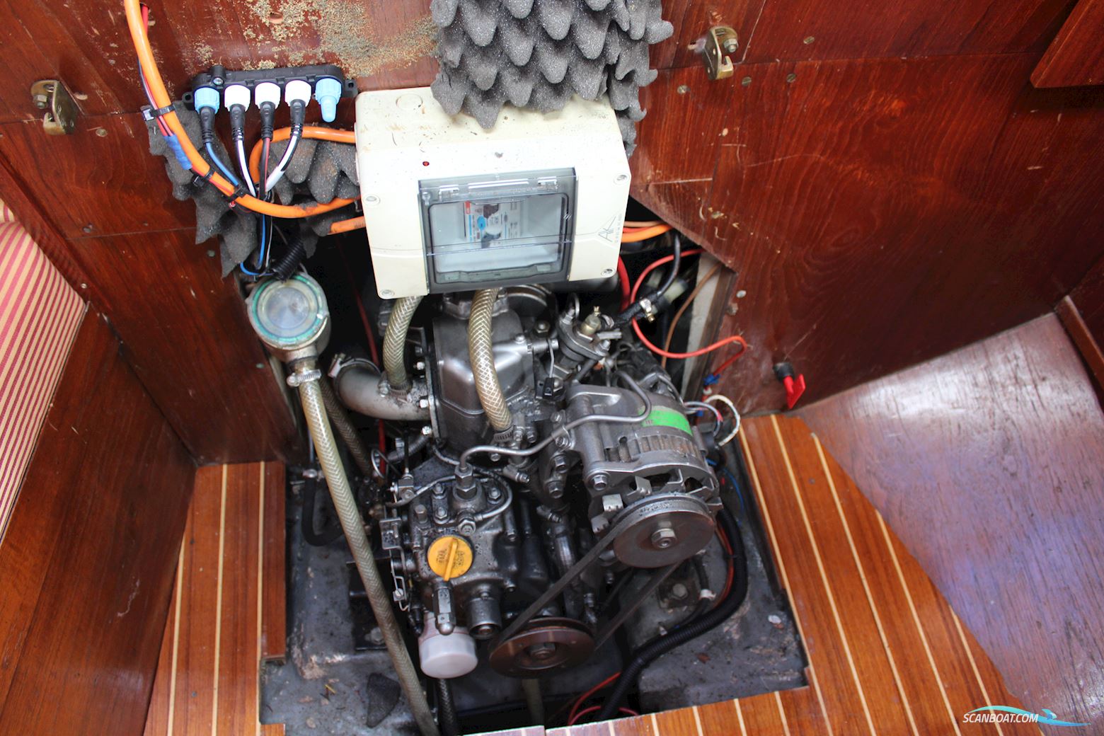 Great Dane GD 28