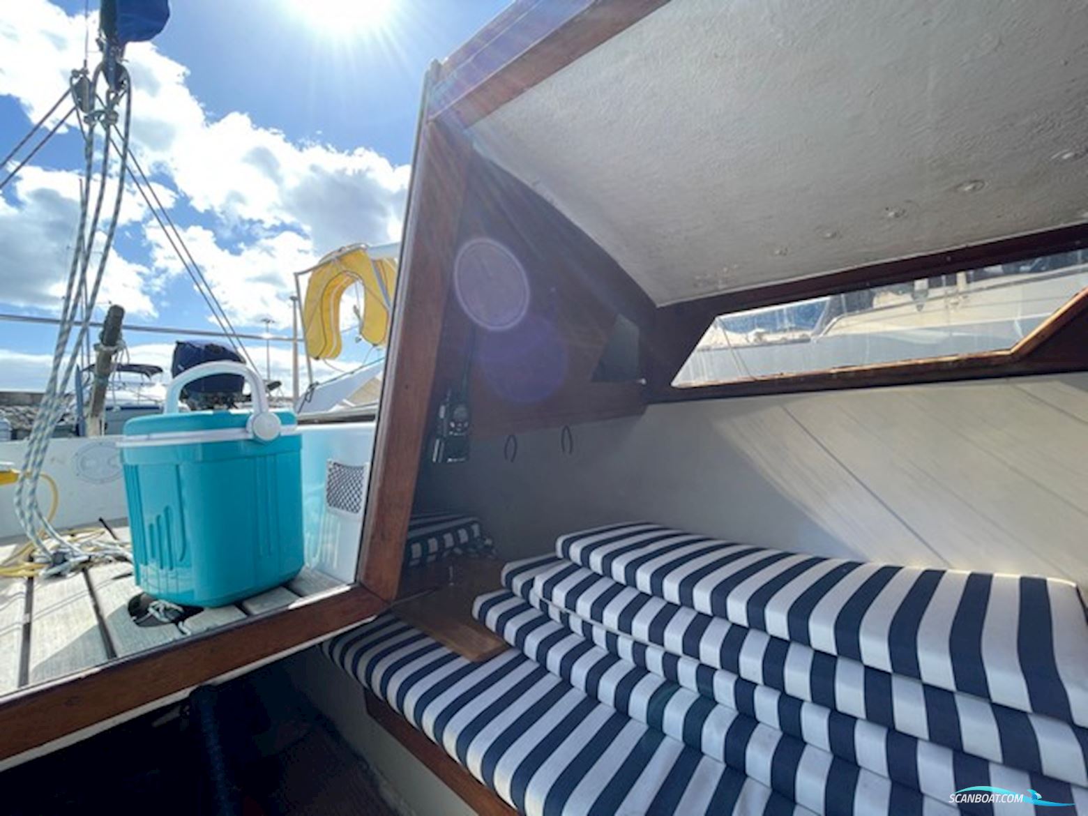 Greyhound