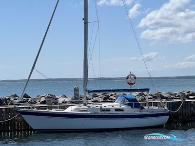 HALLBERG RASSY 29 Segelboot 1982, mit Yanmar
 motor, Dänemark