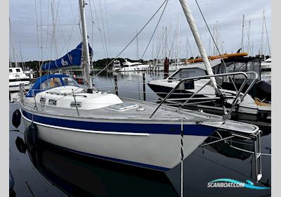 Hallberg Rassy 29 Scandinavia Segelboot 1984, mit Volvo Penta 2002 motor, Dänemark