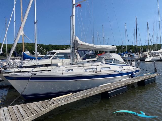 Hallberg Rassy 31 mk II Segelboot 2008, mit Volvo Penta D1-20 motor, Dänemark