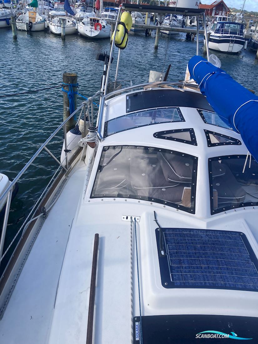 Hallberg Rassy 31 Monsun  Segelboot 1975, mit Lombardini  motor, Dänemark
