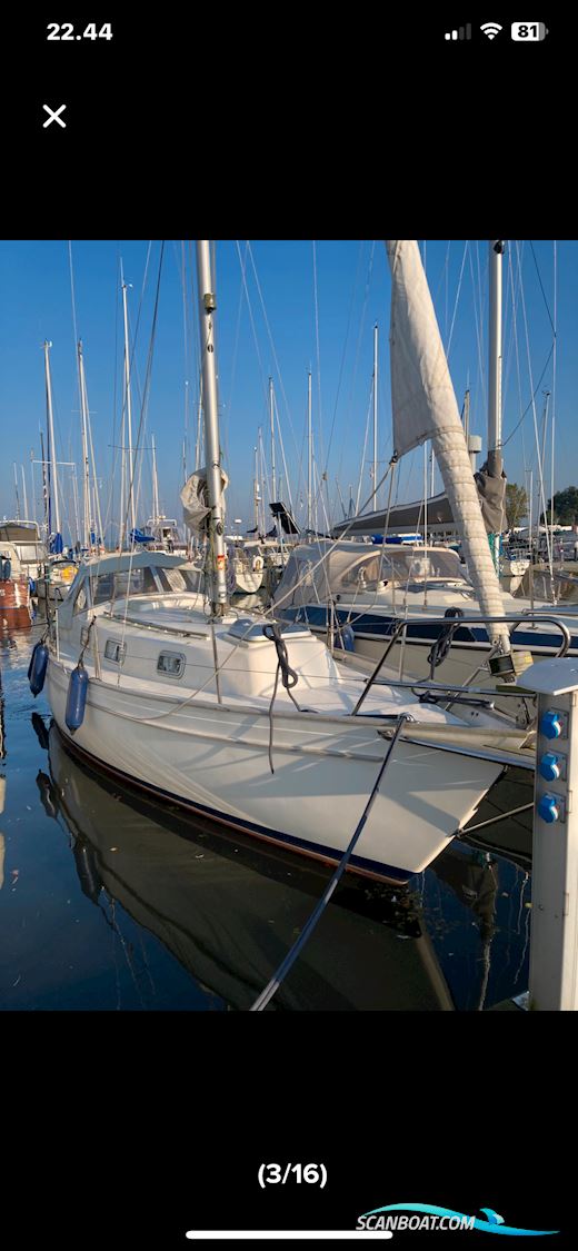 Hallberg-Rassy 31 Monsun Segelboot 1976, mit Volvo Penta md 2030 motor, Dänemark