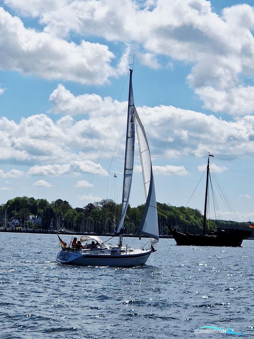 Hallberg-Rassy 31