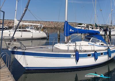 Hallberg Rassy 312 Segelboot 1981, mit Volvo Penta D11C motor, Dänemark