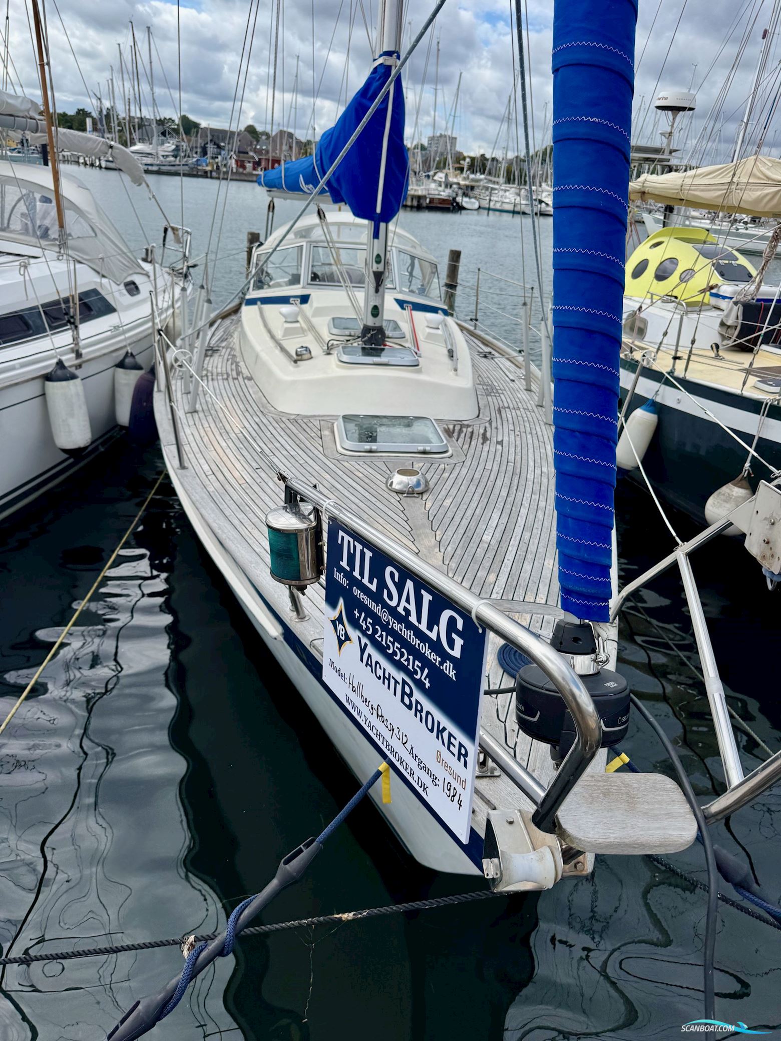 Hallberg-Rassy 312 Segelboot 1984, mit Volvo Penta motor, Dänemark