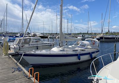 Hallberg-Rassy 312 Segelboot 1988, mit Volvo Penta 2003 motor, Dänemark