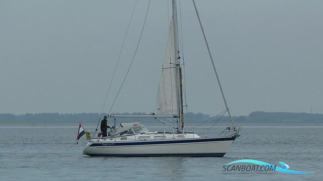 Hallberg Rassy 34