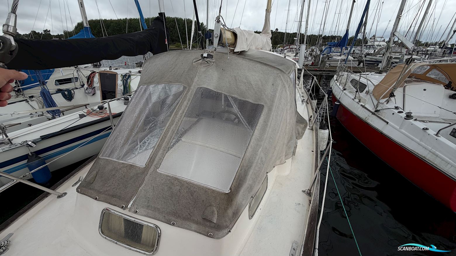 Hallberg-Rassy 35 Rasmus