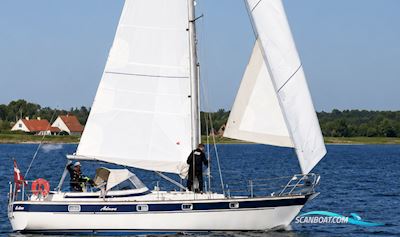 Hallberg Rassy 352 Segelboot 1985, Dänemark