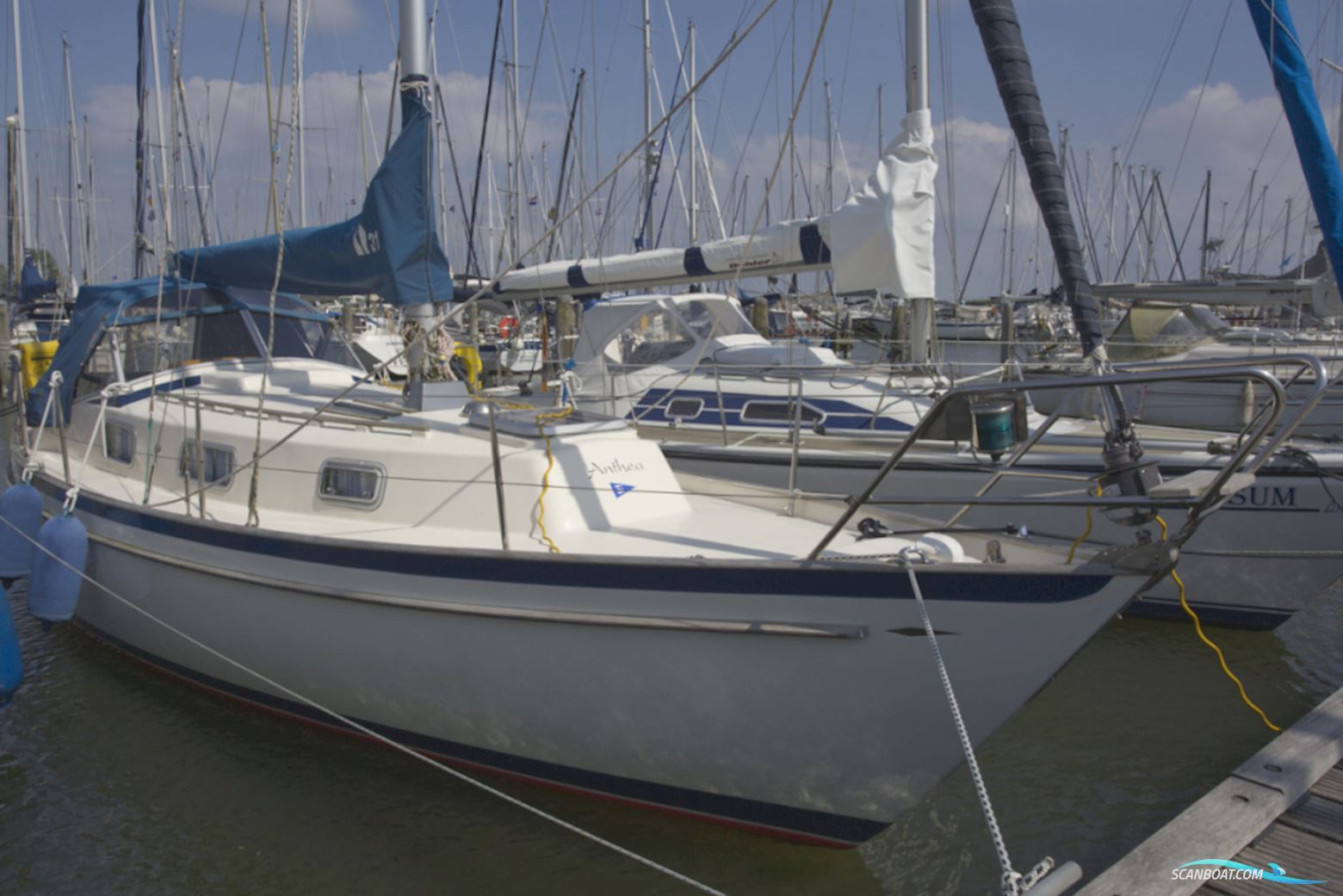 Hallberg-Rassy Monsun 31 Segelboot 1978, mit Vetus Mitsubishi motor, Niederlande