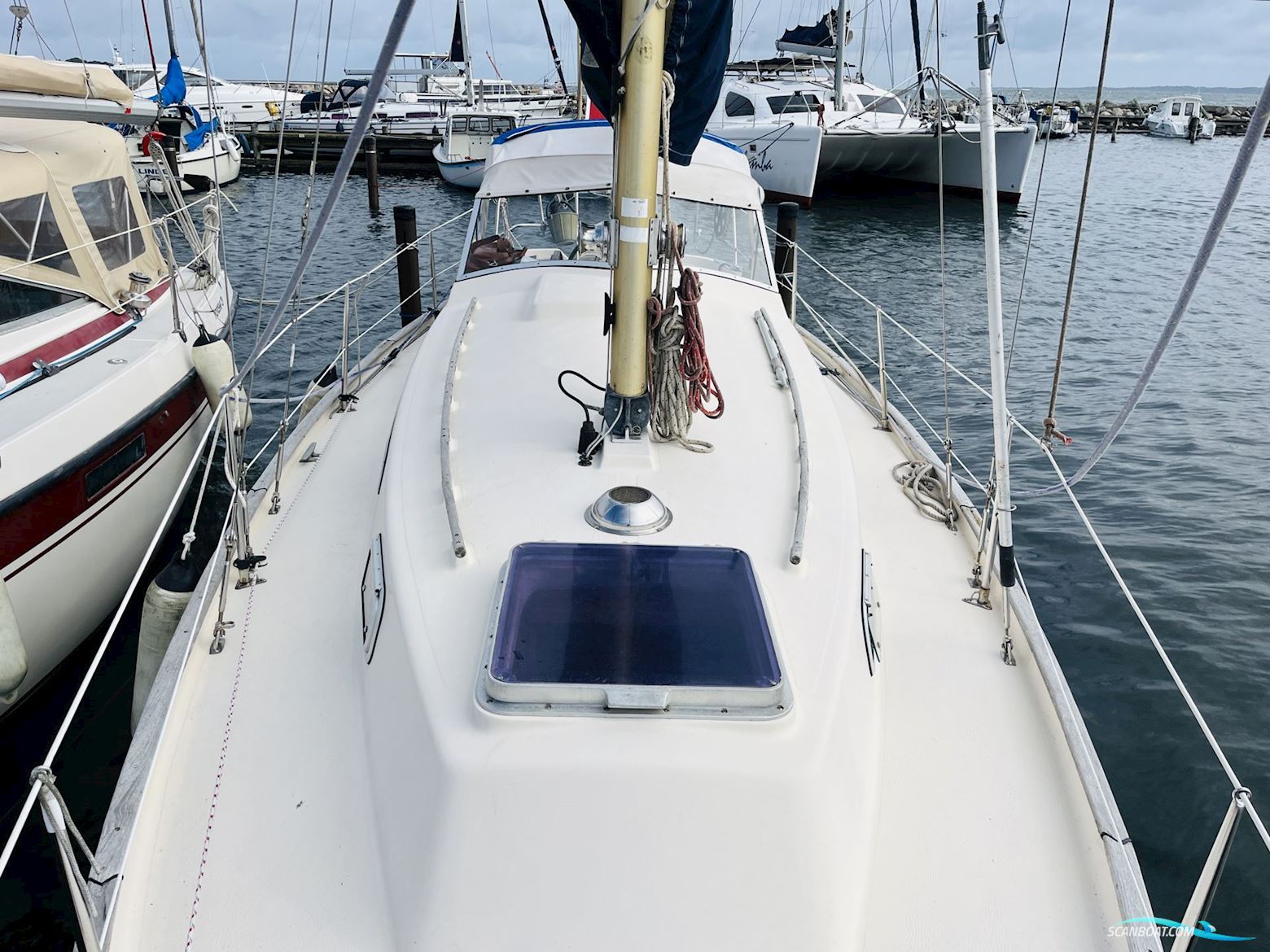 Hallberg-Rassy Monsun 31