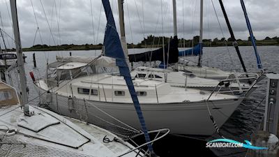 Hallberg-Rassy Rasmus 35 Segelboot 1974, Dänemark