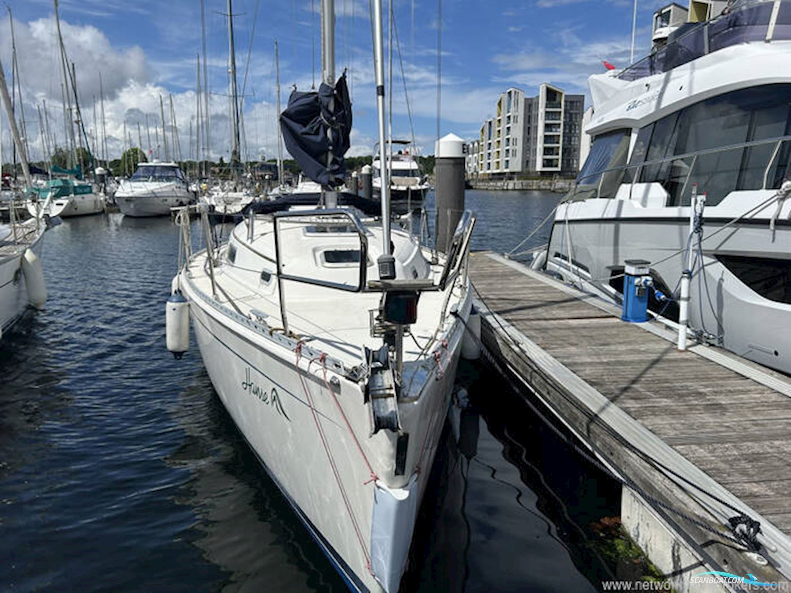 Hanse 311