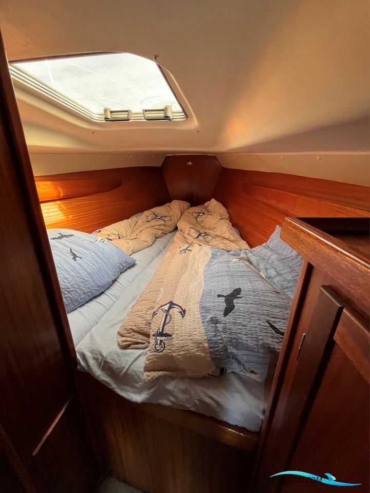 Hanse 331