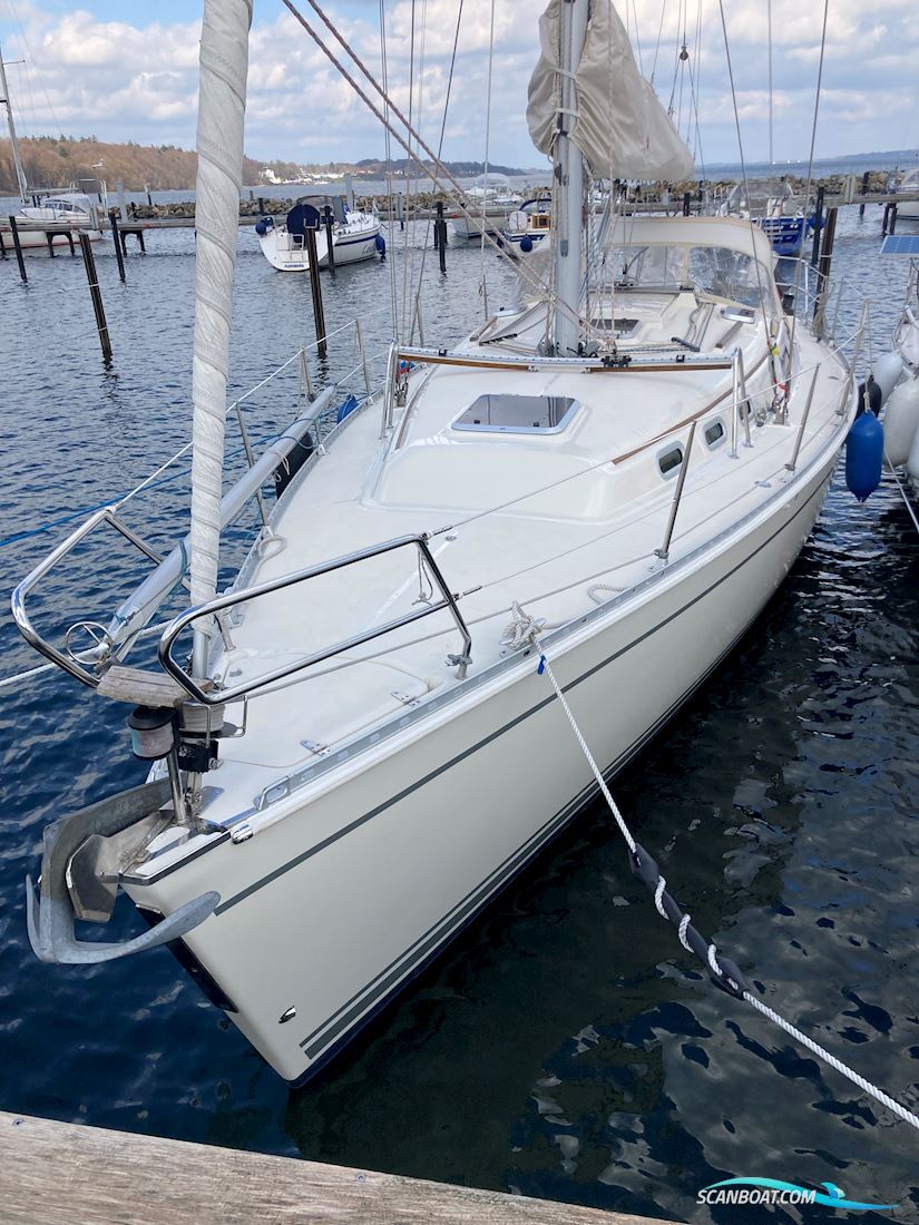 Hanse 371