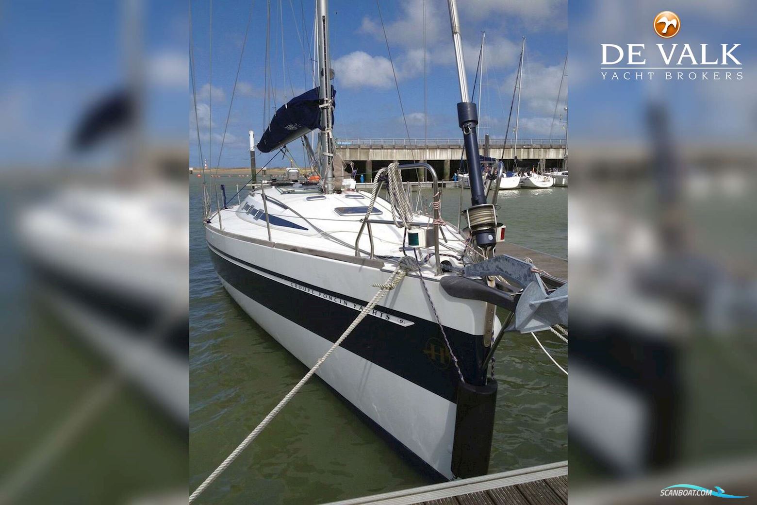 Harmony 47