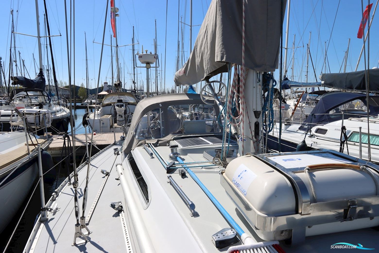 Holman & Pye Red Admiral