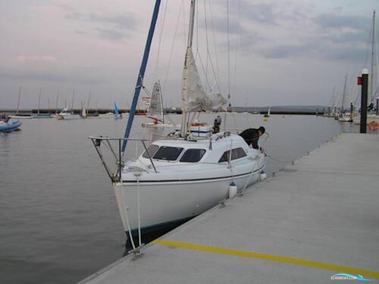Hunter 245
