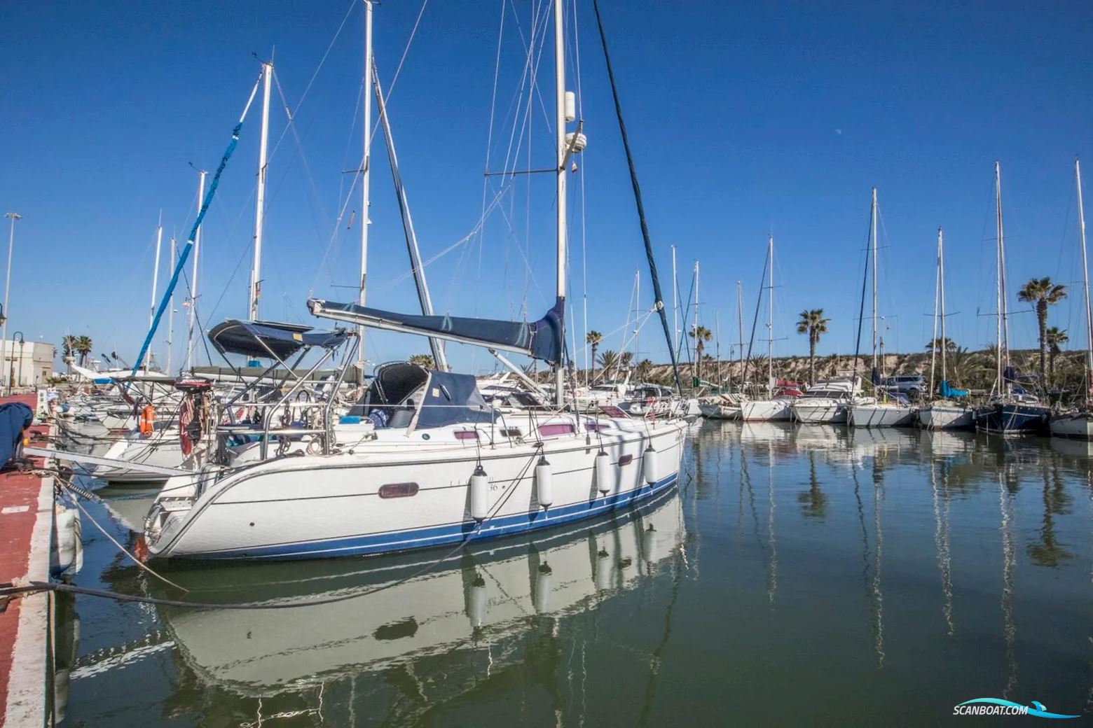 Hunter 36