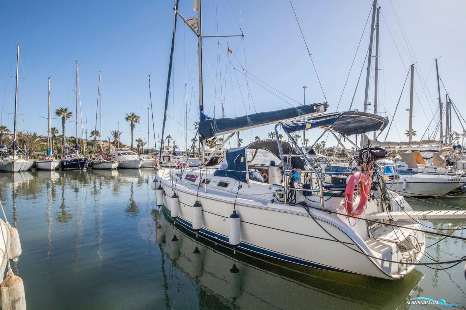 Hunter 36