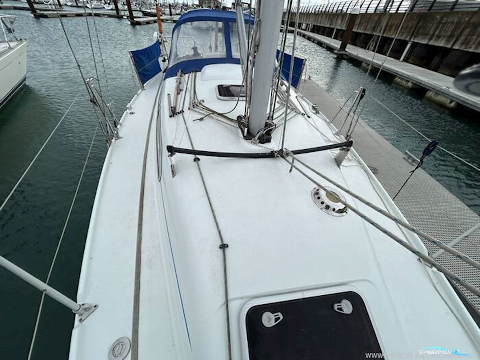 Hunter Channel 31