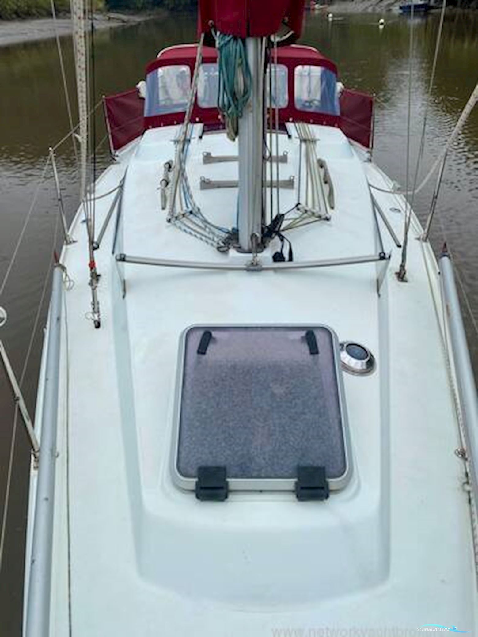 Hunter Horizon 30