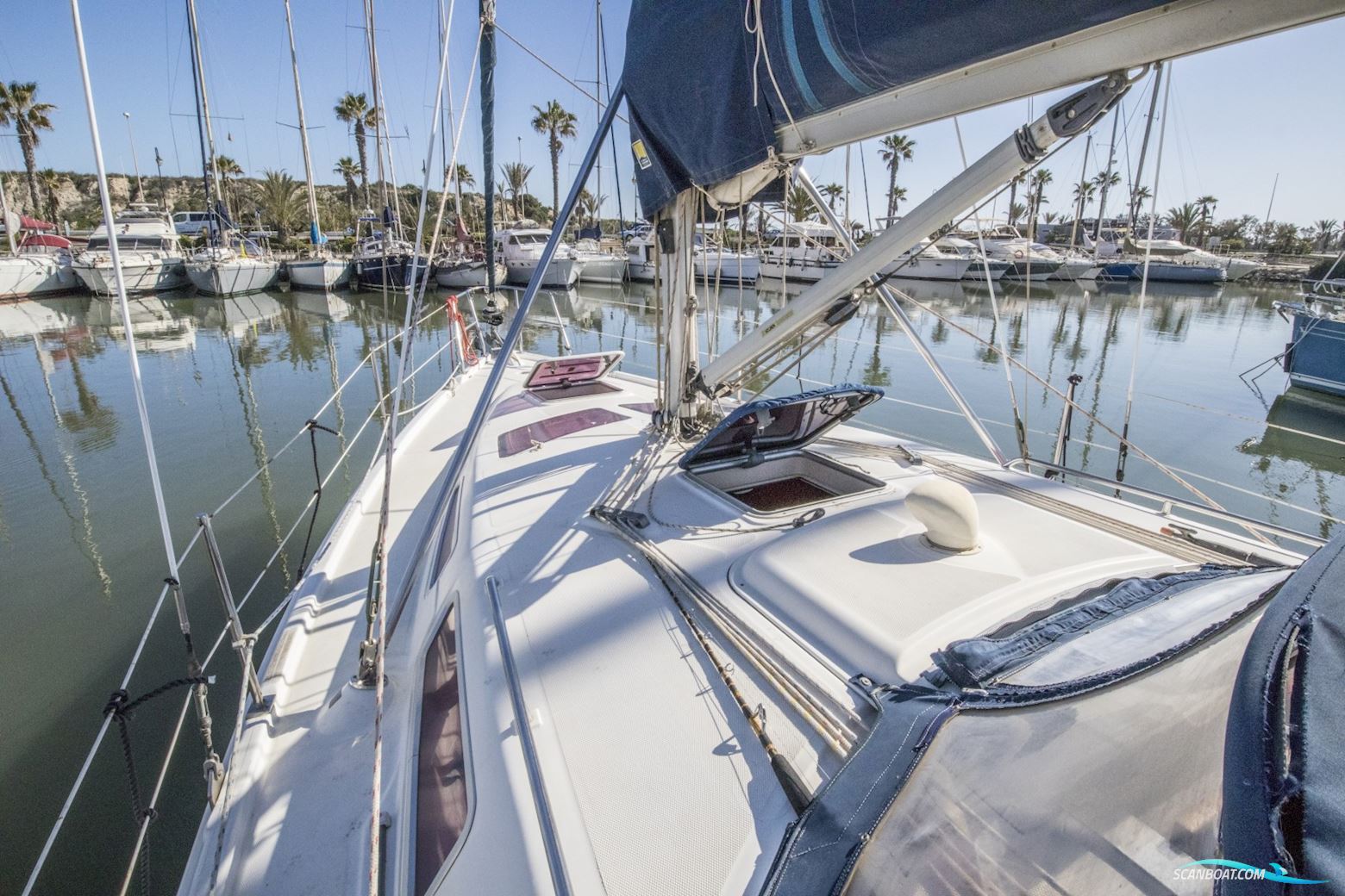 Hunter Sun Legend 36