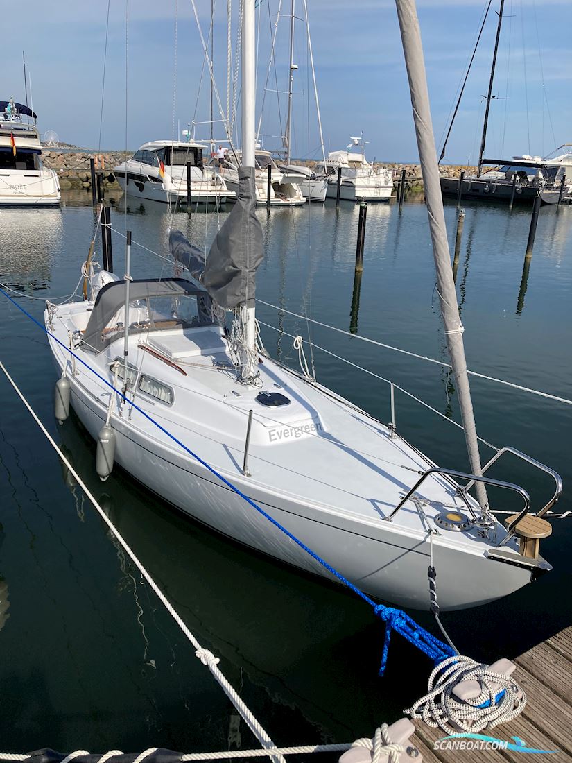 IF - Boot -Marieholm