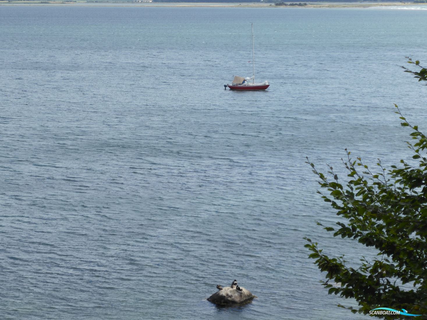 IF-Boot, Marieholm 24, Internationales Folkeboot