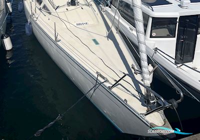 International 1006 Segelboot 1977, mit Volvo Penta MD 5A motor, Dänemark