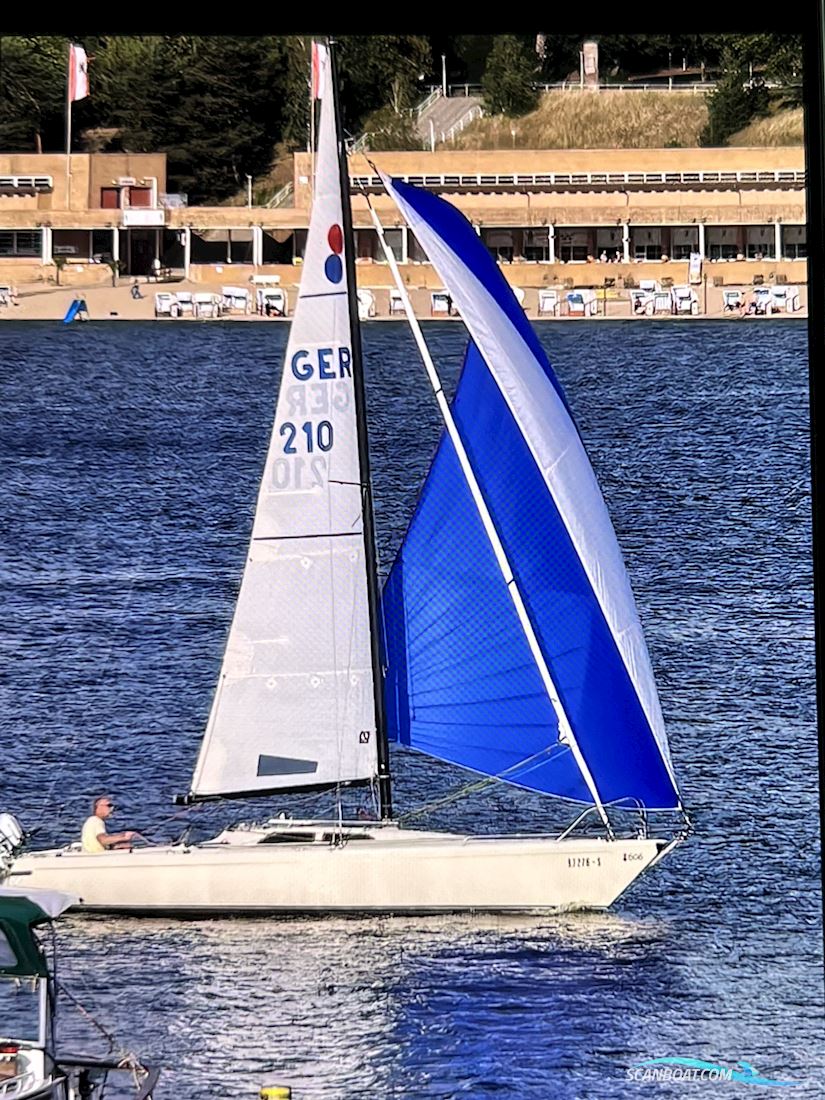 International 806 Klepper