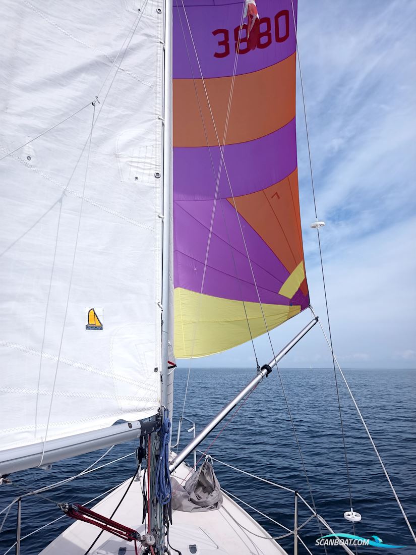 Internationales Folkeboot 