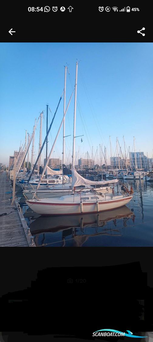Internationales Folkeboot  Segelboot 1981, mit Tohatsu  motor, Deutschland